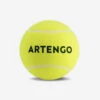 Artengo BALLE DE TENNIS JUMBO BALL -Sports De Balle balle de tennis jumbo ball