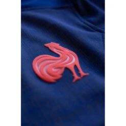 MAILLOT DOMICILE ADULTE FRANCE RUGBY RWC 2023 -Sports De Balle maillot domicile adulte france rugby rwc 2023 4