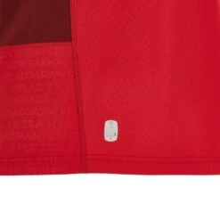 MAILLOT RUGBY REPLICA PAYS DE GALLES DOMICILE ADULTE 2023/2024 - MACRON -Sports De Balle maillot rugby replica pays de galles domicile adulte 20232024 macron 5