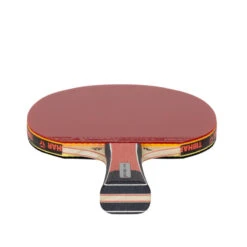 Raquette De Tennis De Table Club - Lebrun Pro X 5* ITTF -Sports De Balle raquette de tennis de table club lebrun pro x 5 ittf 2