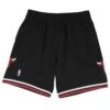 Mitchell & Ness Short Chicago Bulls Nba